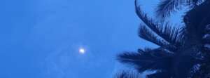 Emily_blur