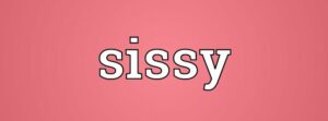 CDselenayX