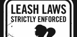 PunishHerAss